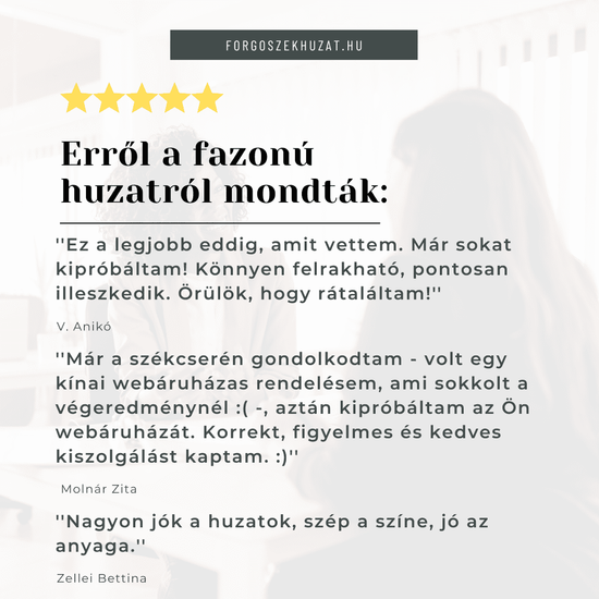SzékHuzat Étkezőszékre (vízálló műbőr, kapucsínó barna) SzékHuzat Étkezőszékre (vízálló műbőr, kapucsínó barna)